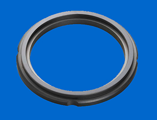 Silicon Carbide Gasket